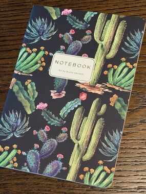 3 for $15 Bruno Visconti Soft Touch Cactus on Black Journal A5 NEW